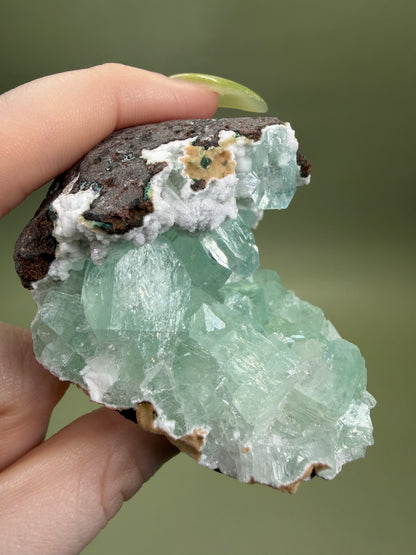 Apophyllite - India