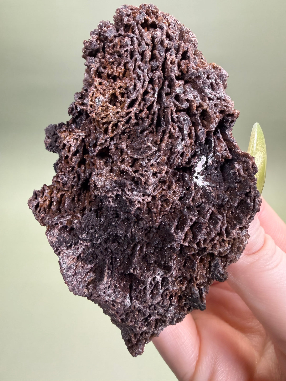 Goethite Included Quartz - Morocco