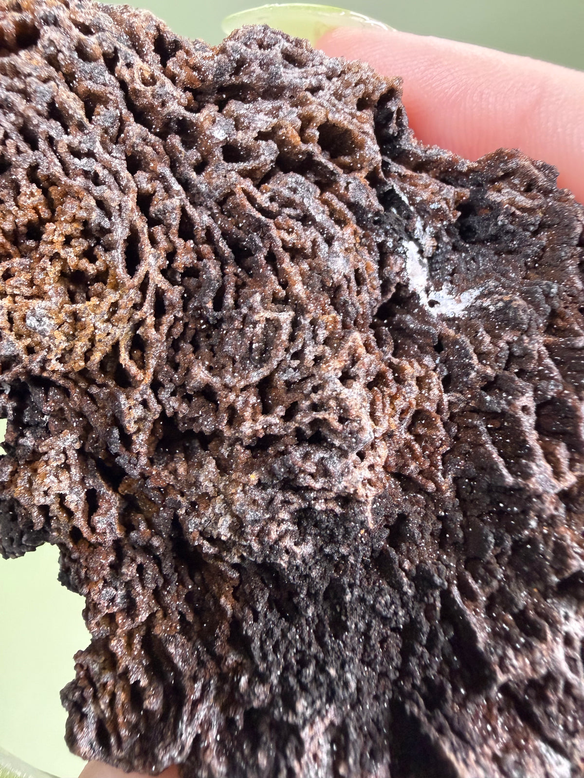 Goethite Included Quartz - Morocco