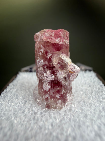 Tourmaline - Afghanistan
