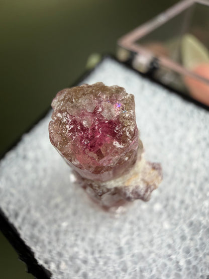 Tourmaline - Afghanistan