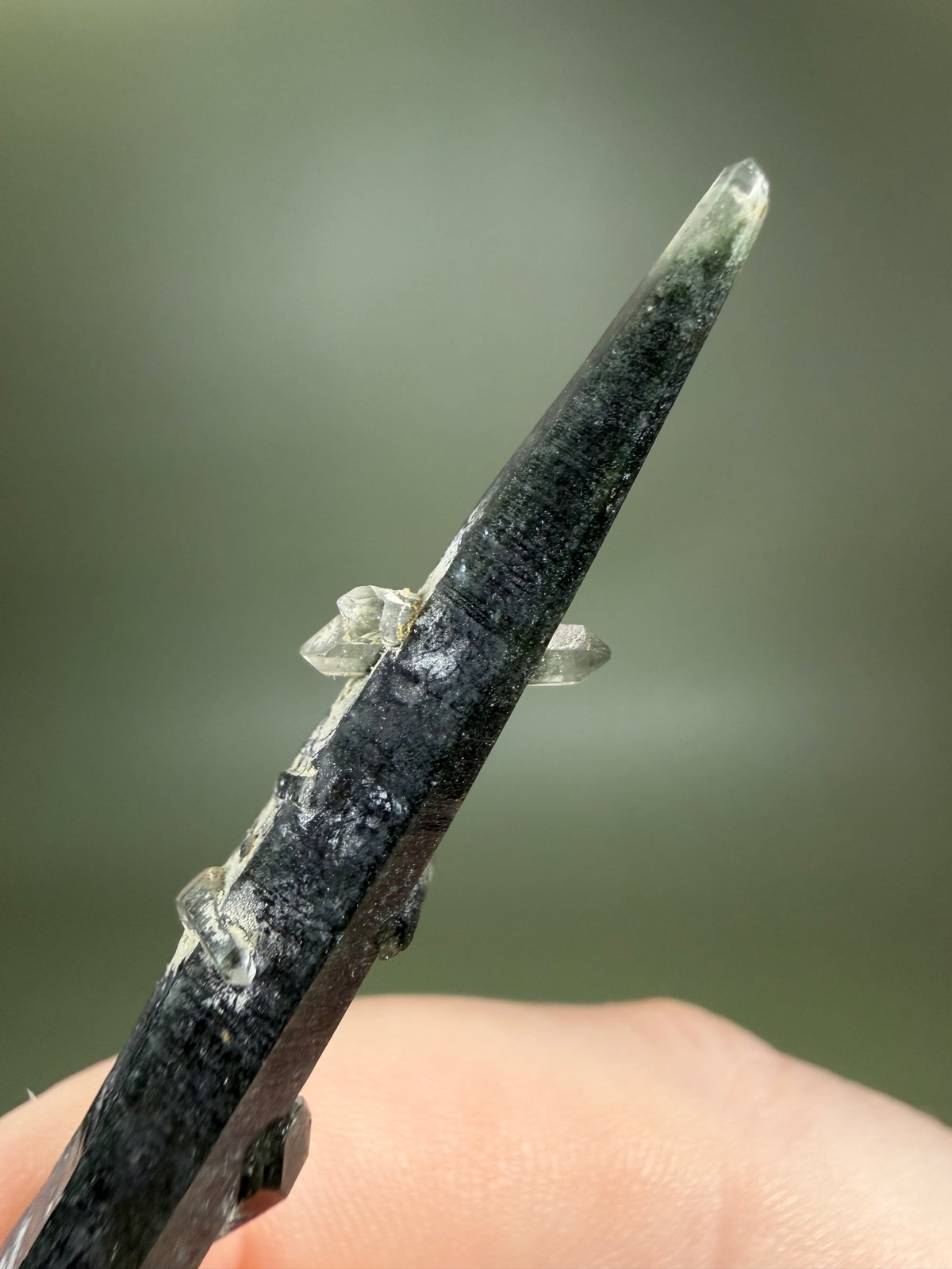 Quartz var. Prase - Nepal