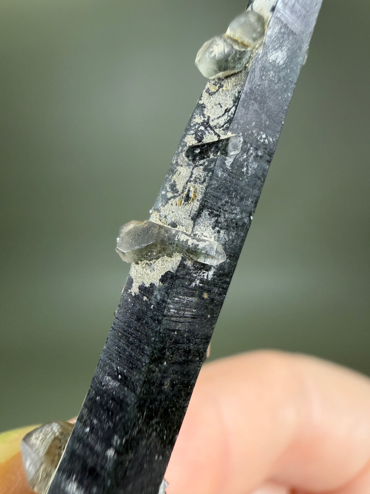 Quartz var. Prase - Nepal