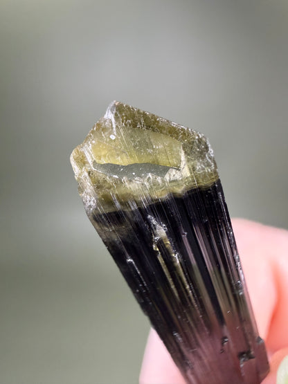 Tourmaline var. Elbaite - Pakistan