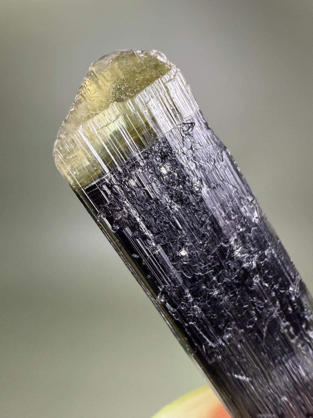 Tourmaline var. Elbaite - Pakistan