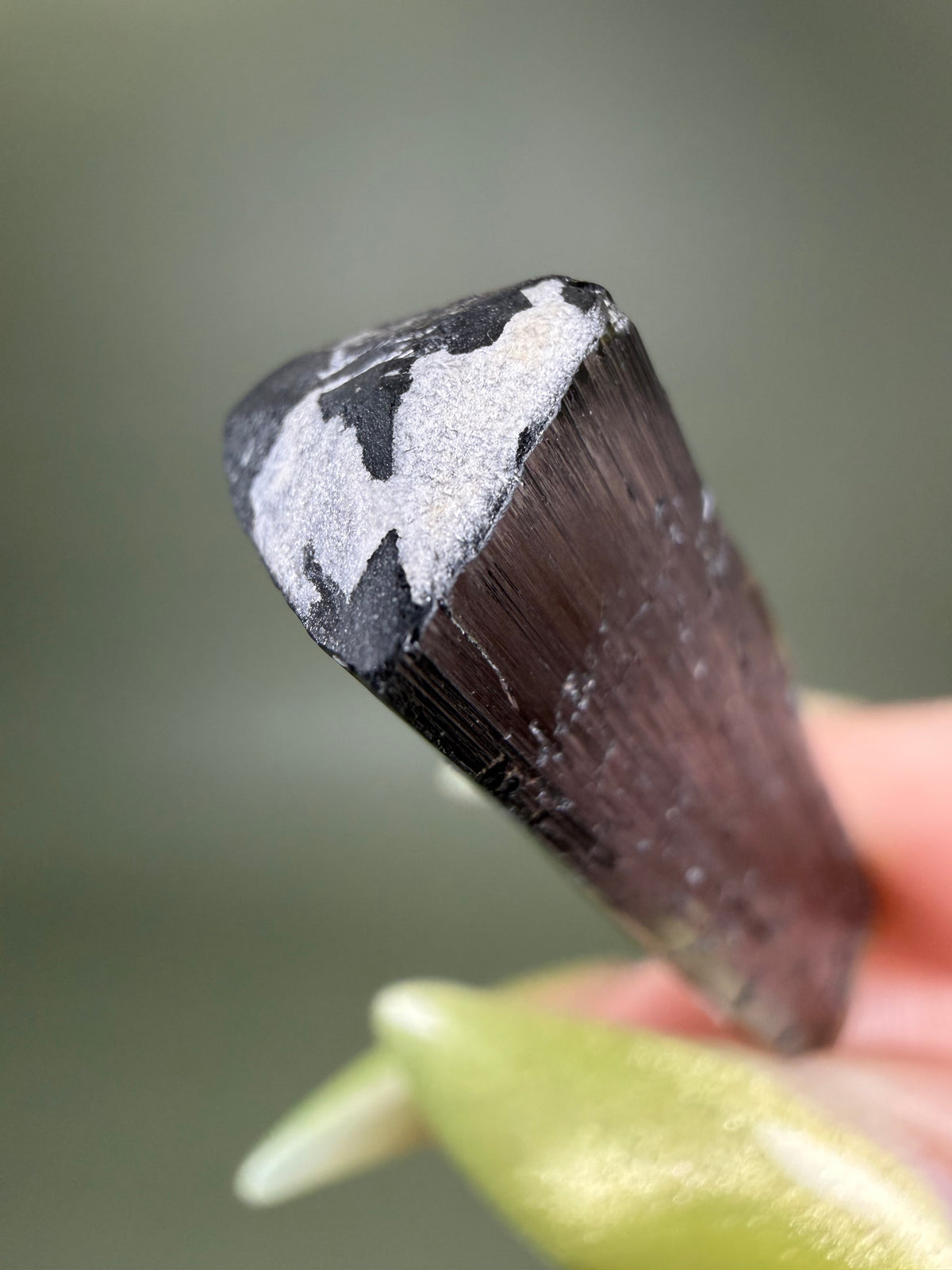 Tourmaline var. Elbaite - Pakistan