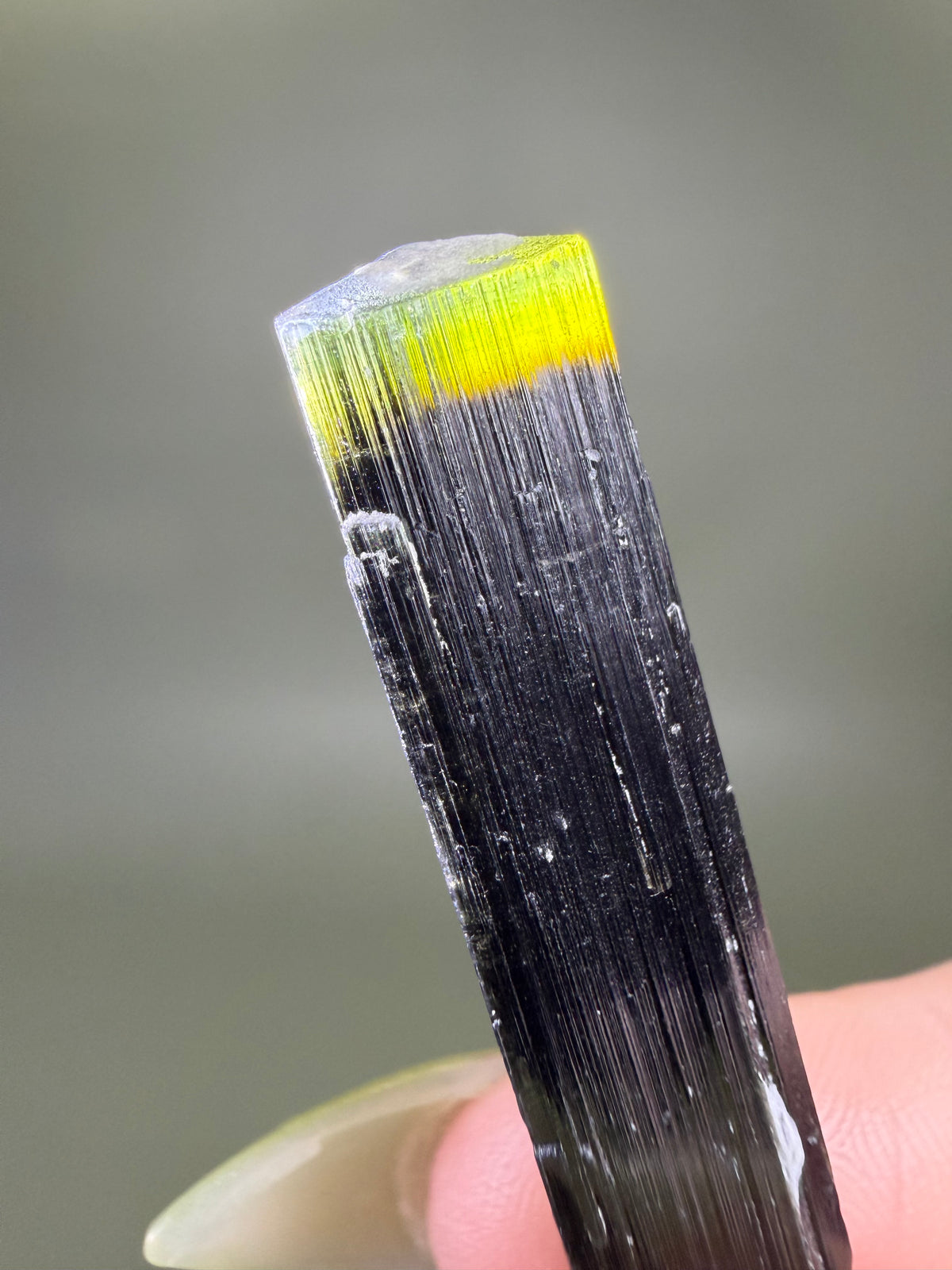 Tourmaline var. Elbaite - Pakistan