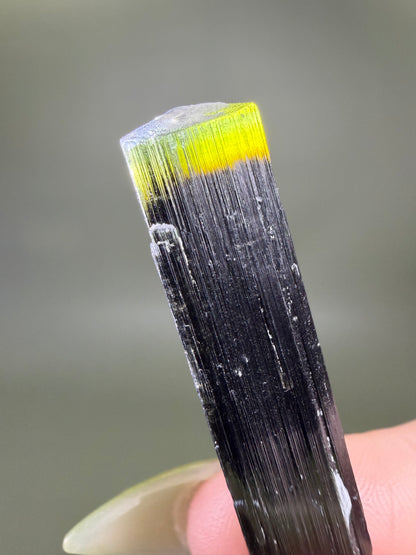 Tourmaline var. Elbaite - Pakistan