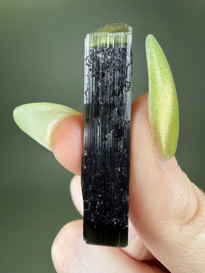 Tourmaline var. Elbaite - Pakistan