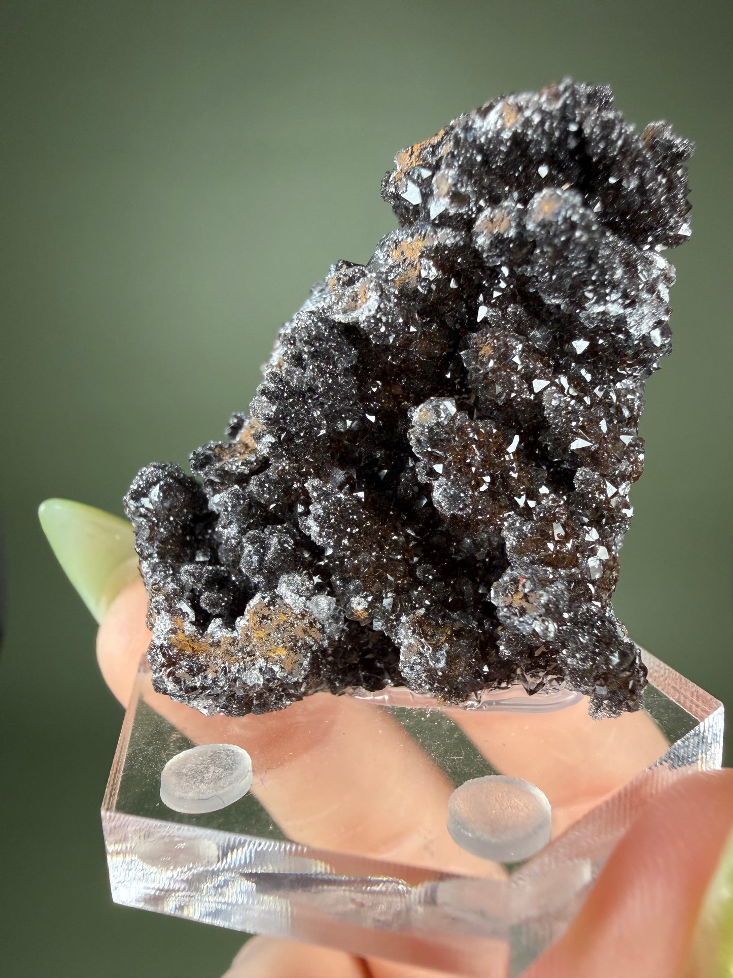 Goethite in Quartz - Morocco