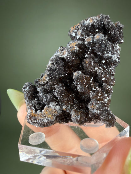 Goethite in Quartz - Morocco