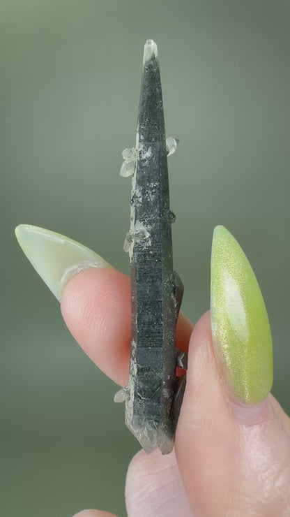 Quartz var. Prase - Nepal