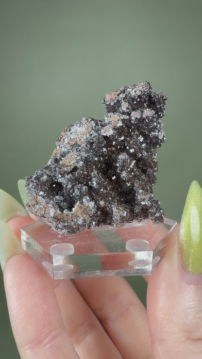 Goethite in Quartz - Morocco