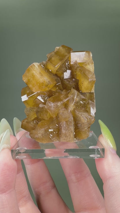 Baryte on Fluorite - China